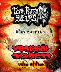 Compilations : Vestigial Sickness - Video Edition
